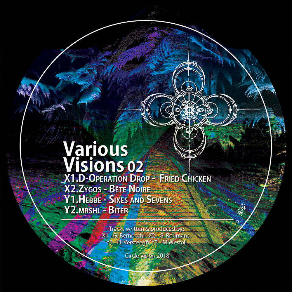 Picture of Various Visions 02