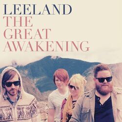 Cover of The Great Awakening