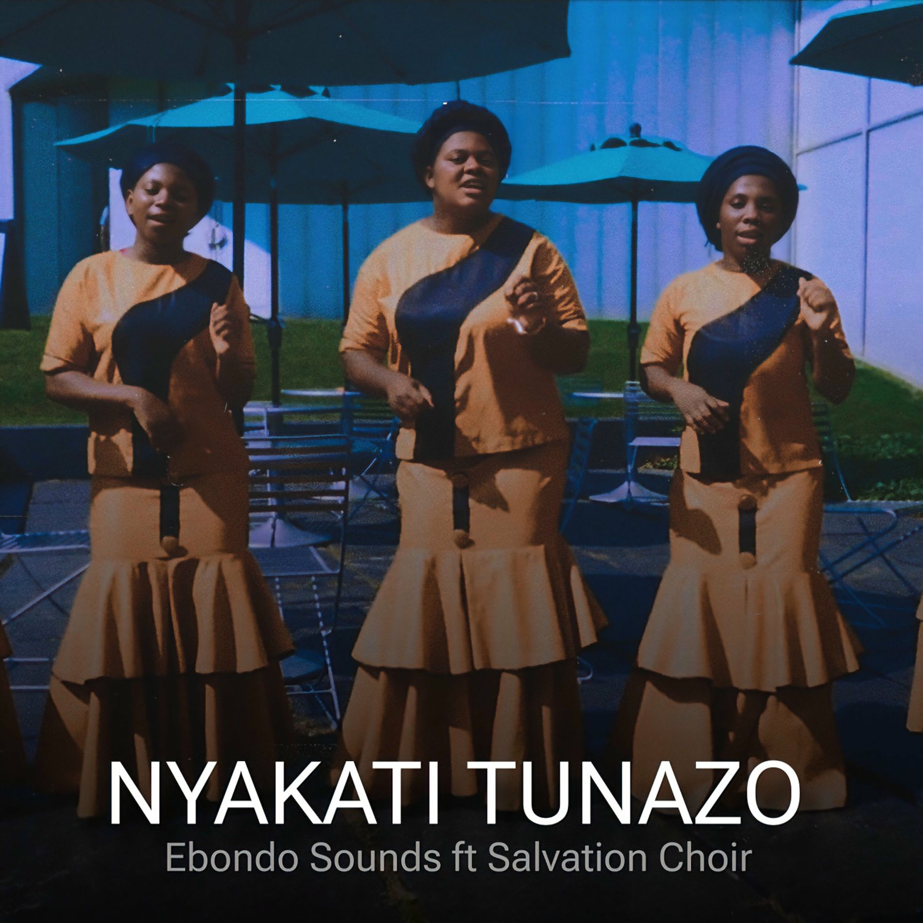 Album cover of Nyakati Tunazo