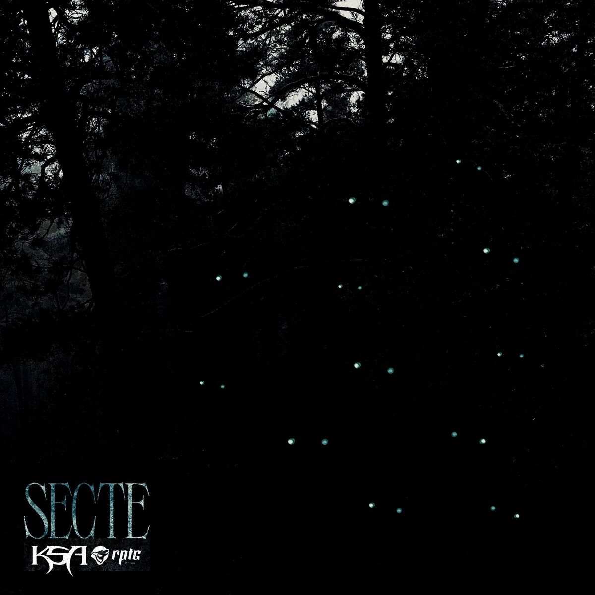 Album cover of Secte