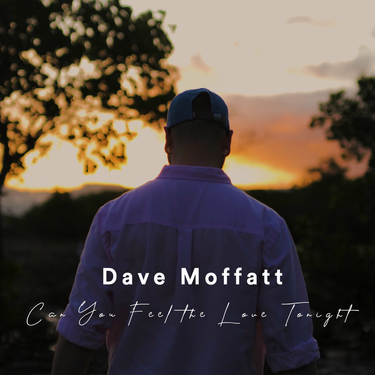 Album cover of Can You Feel the Love Tonight
