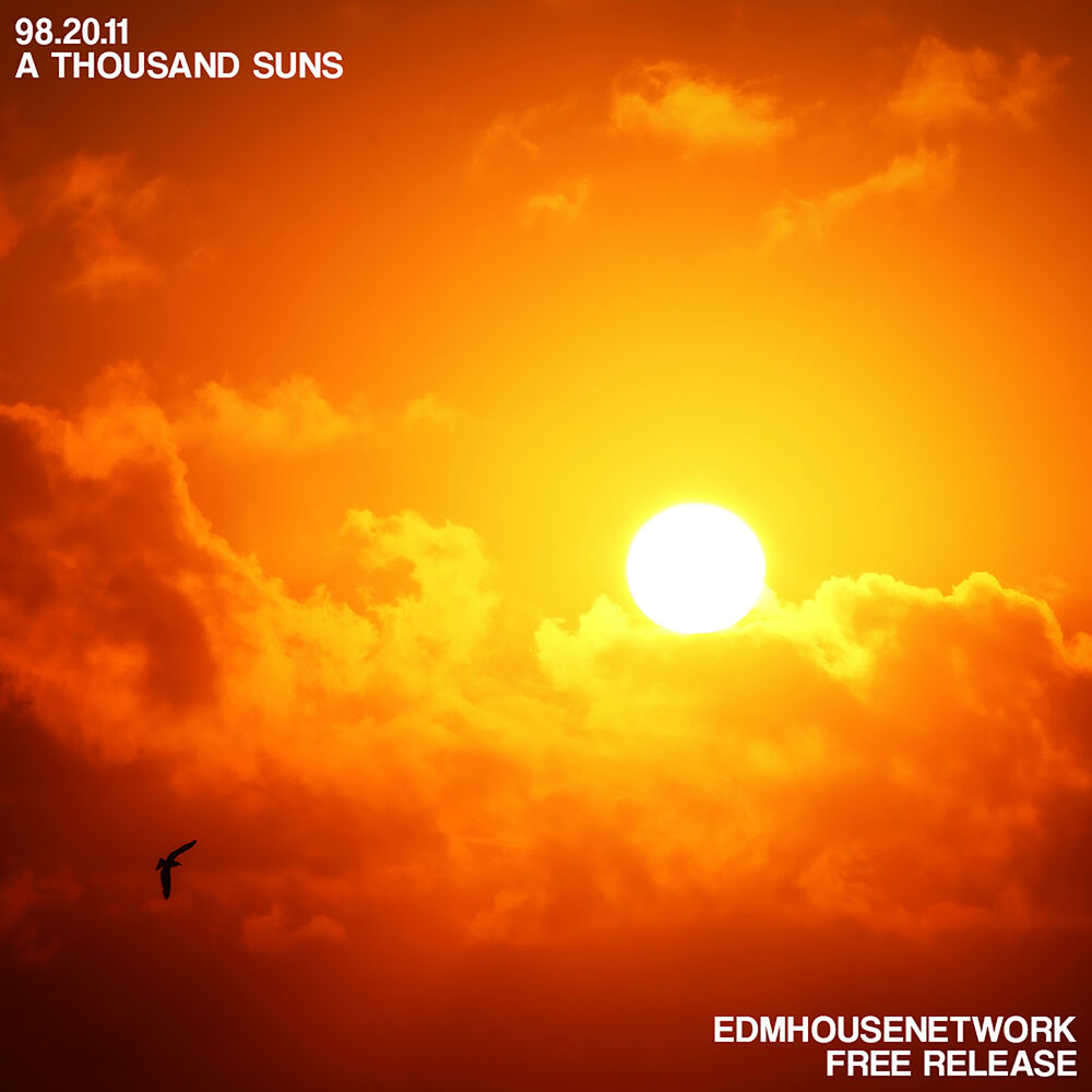 Picture of A Thousand Suns
