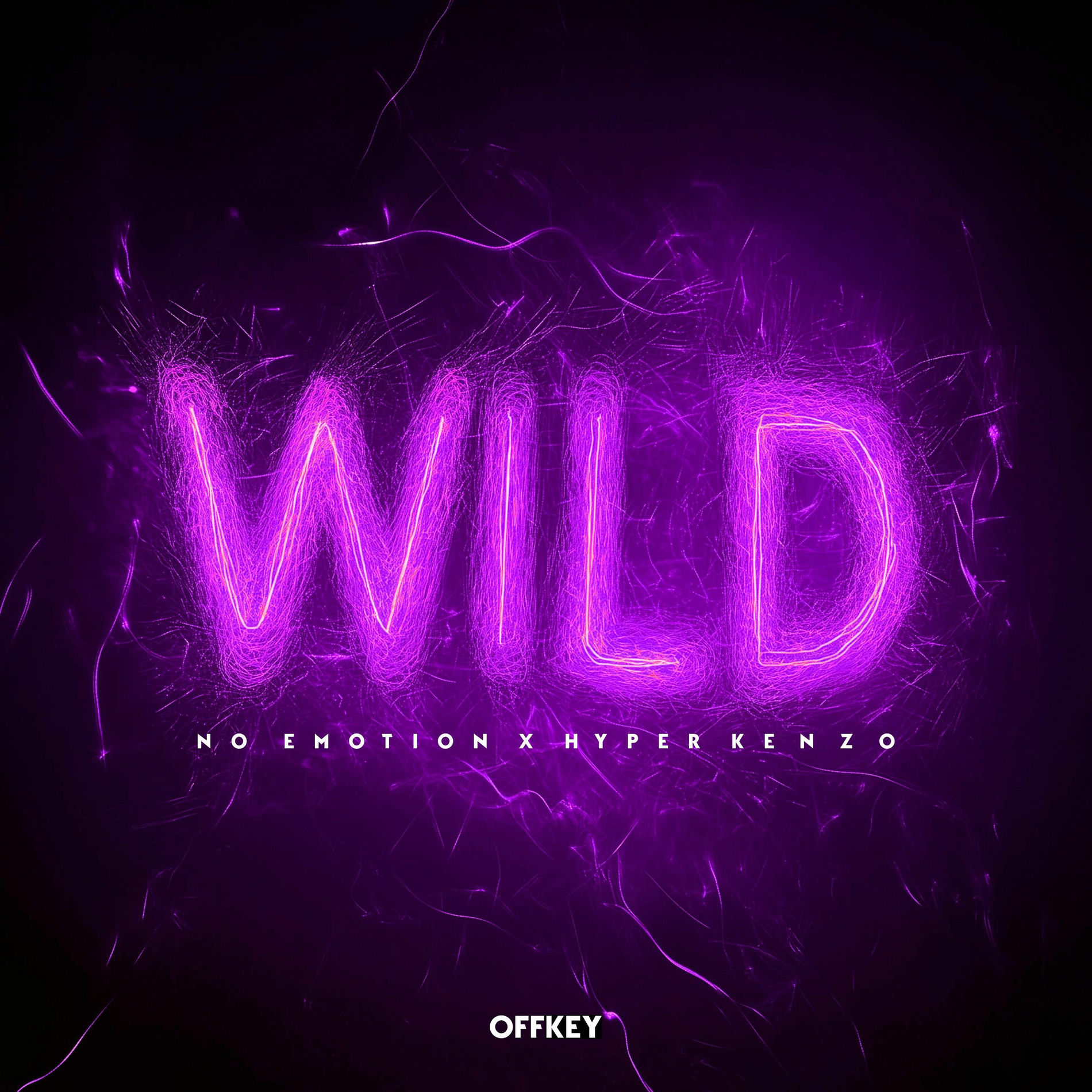 Album cover of Wild (Techno Version)