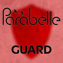 Cover of Guard