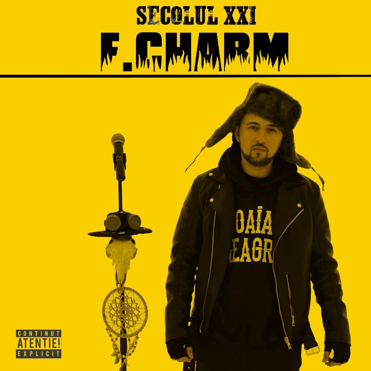 Album cover of Secolul XXI
