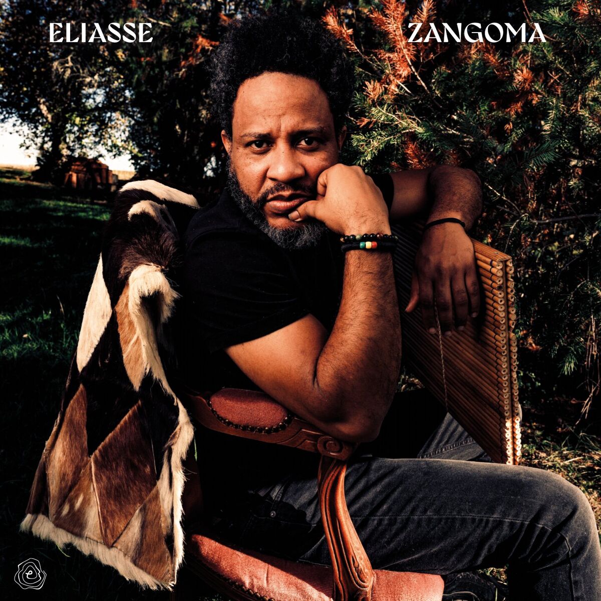 Album cover of Zangoma