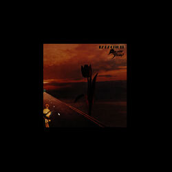 Cover of Parachute (Deluxe)