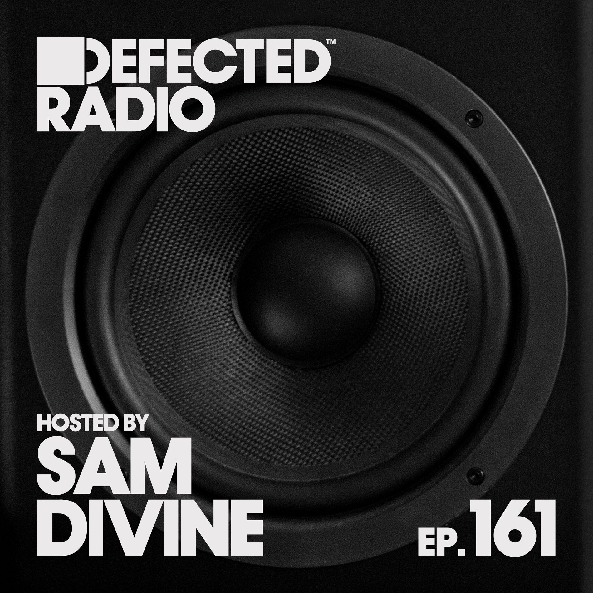 Album cover of Defected Radio Episode 161 (hosted by Sam Divine)