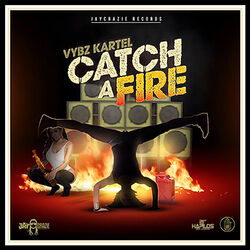 Cover of Catch a Fire