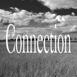Cover of Connection