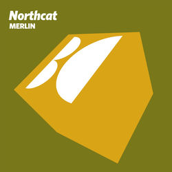 Cover of Merlin by undefined
