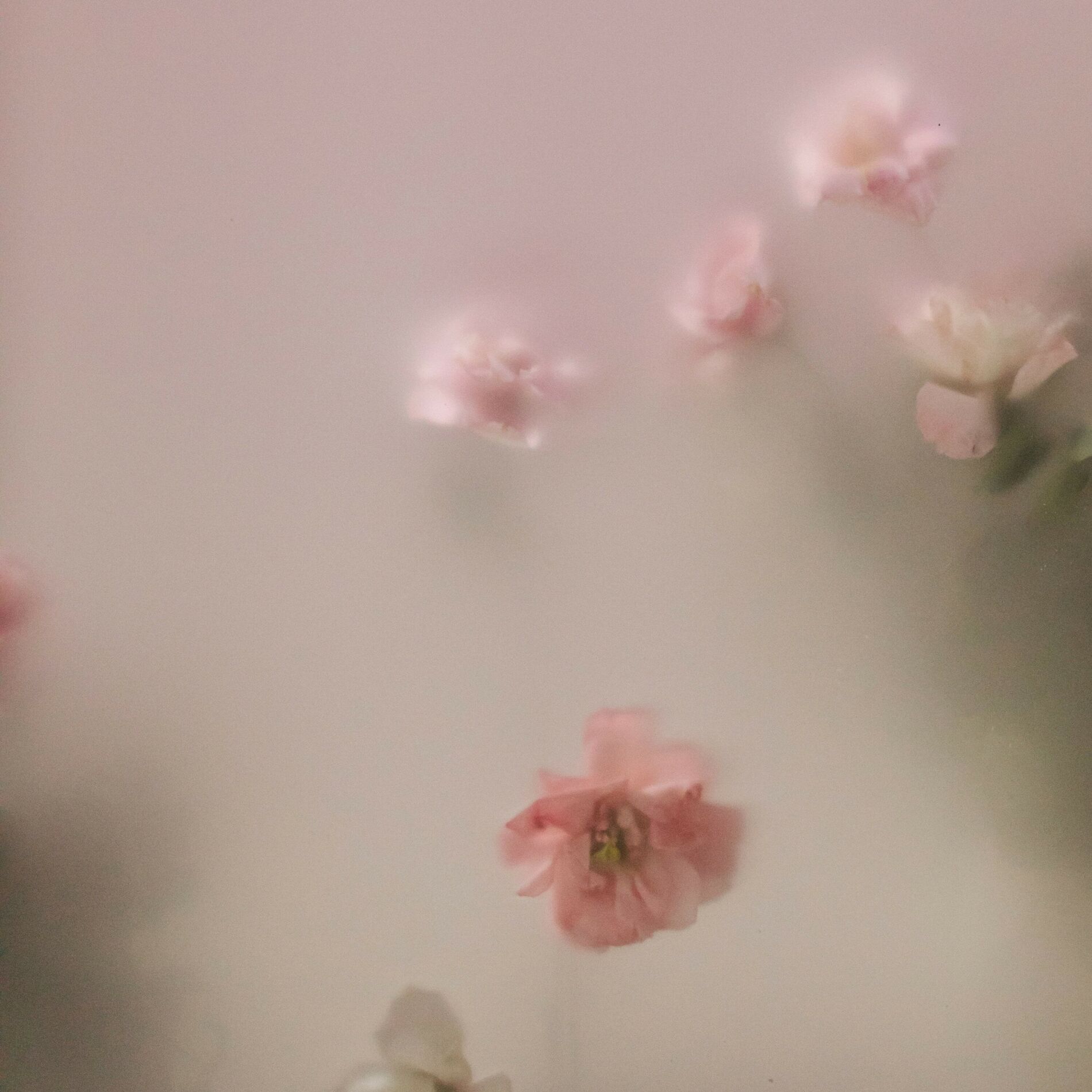 Album cover of Piano Garden