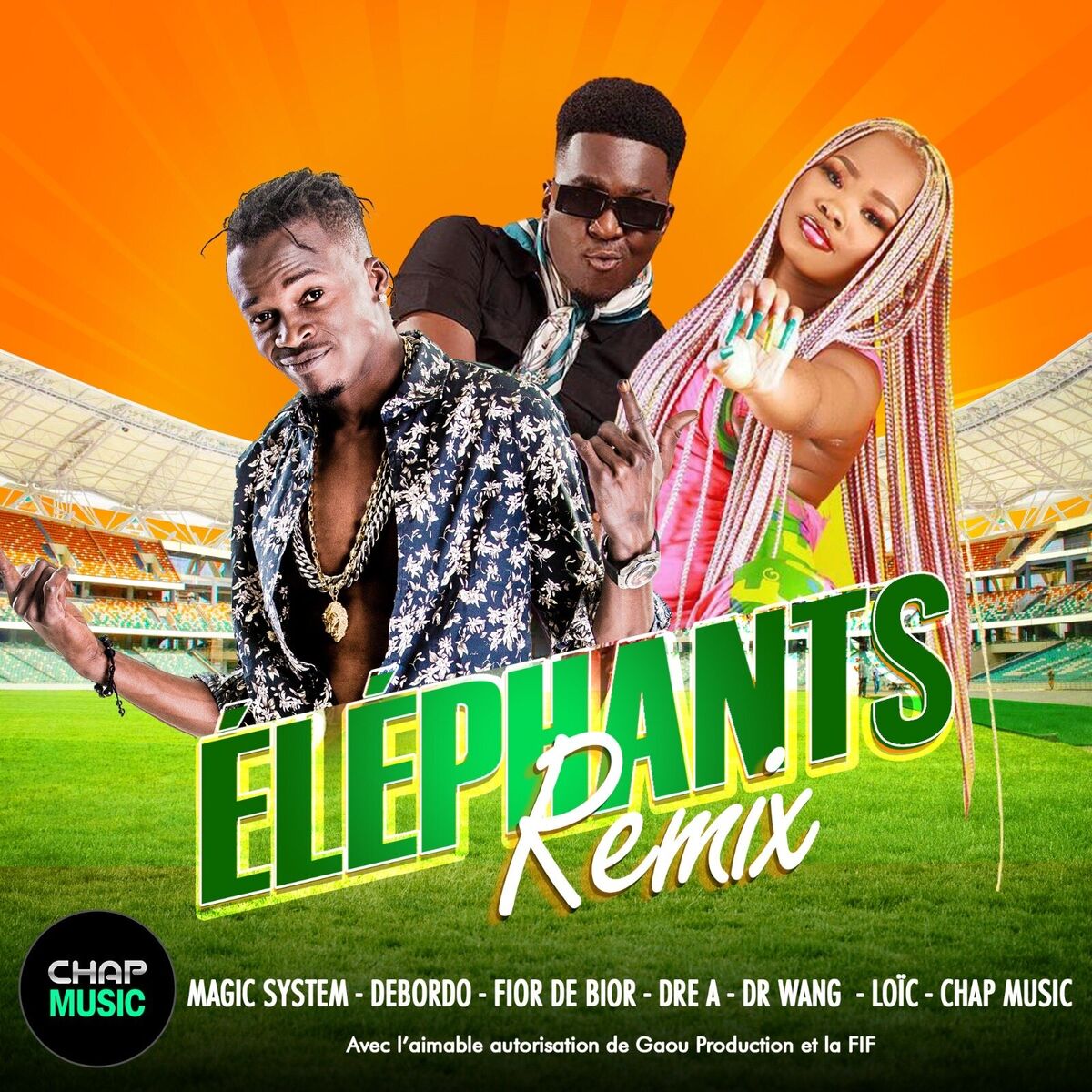 Album cover of Elephants (Dr Wang Remix)