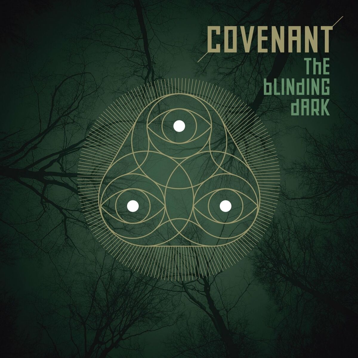 Album cover of The Blinding Dark