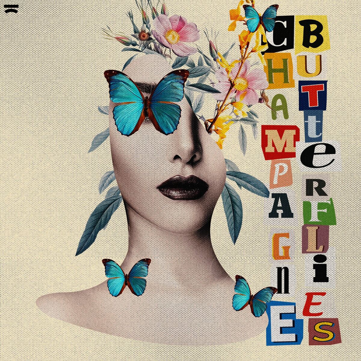 Album cover of Champagne Butterflies