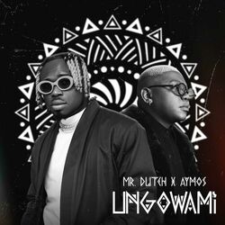 Cover of Ungowami