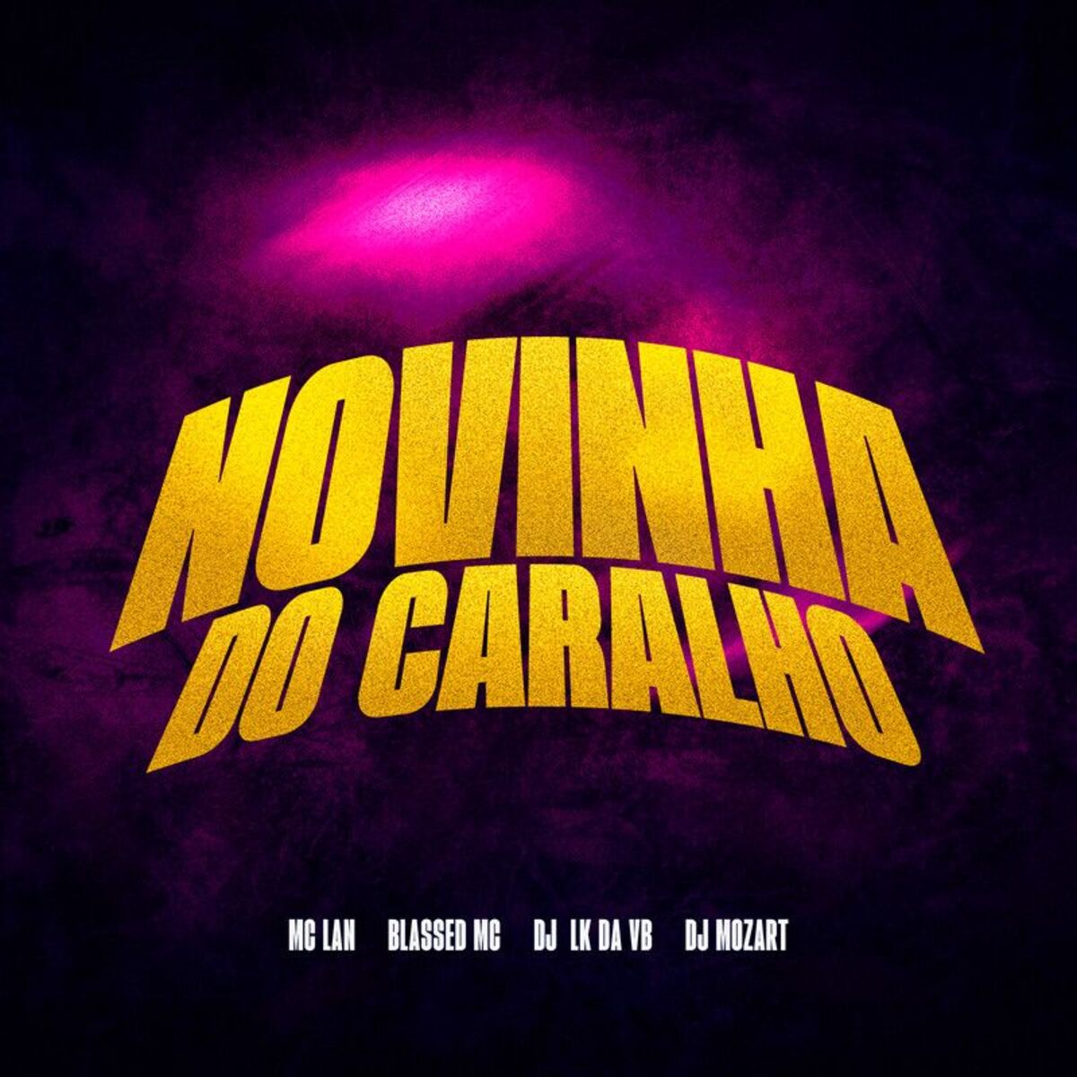 Album cover of Novinha Do Caralho