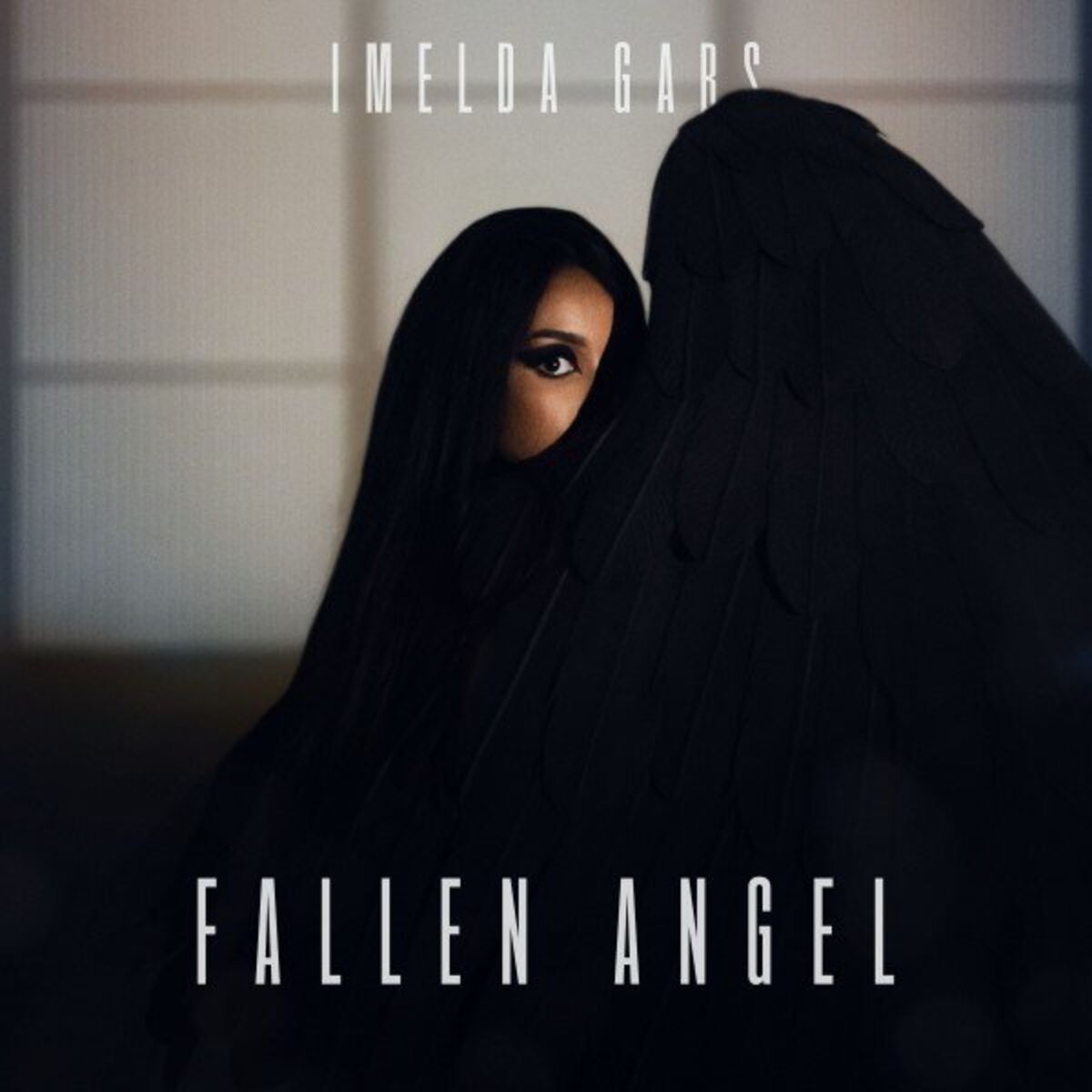 Album cover of Fallen Angel