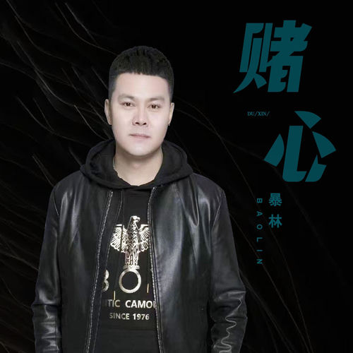 赌心 (DJ版)