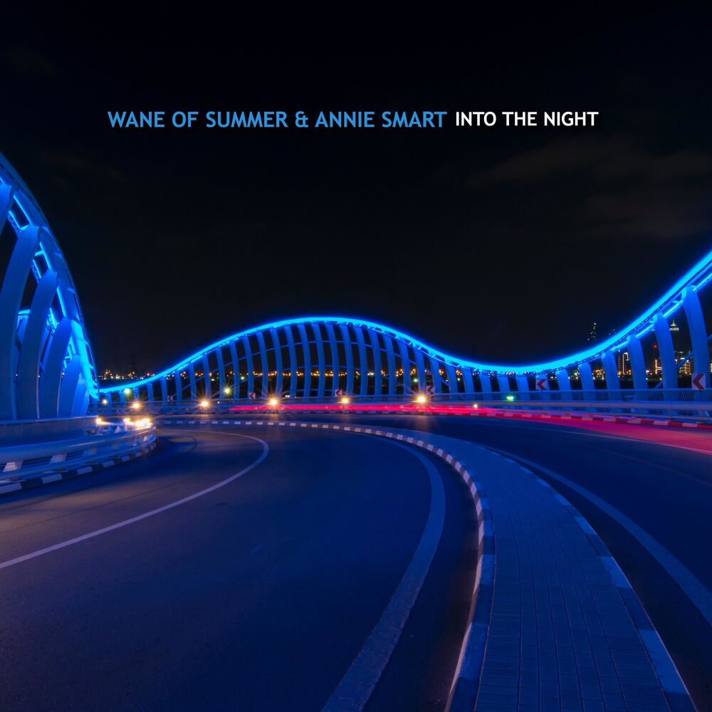 Picture of Into the Night