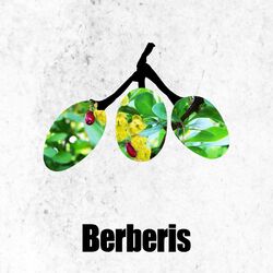 Cover of Shelter EP