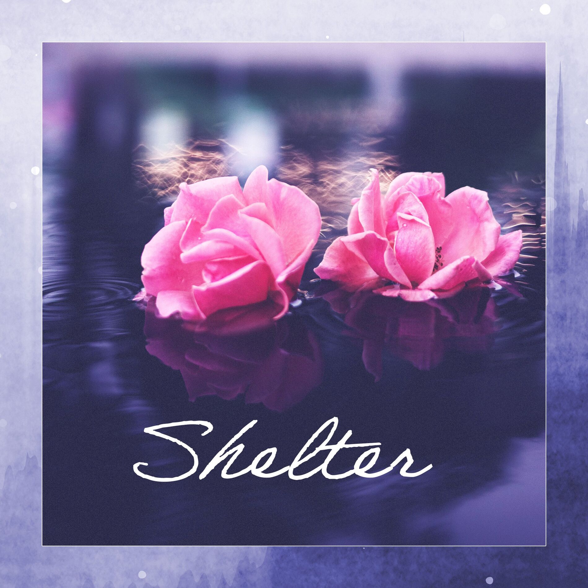 Album cover of Shelter
