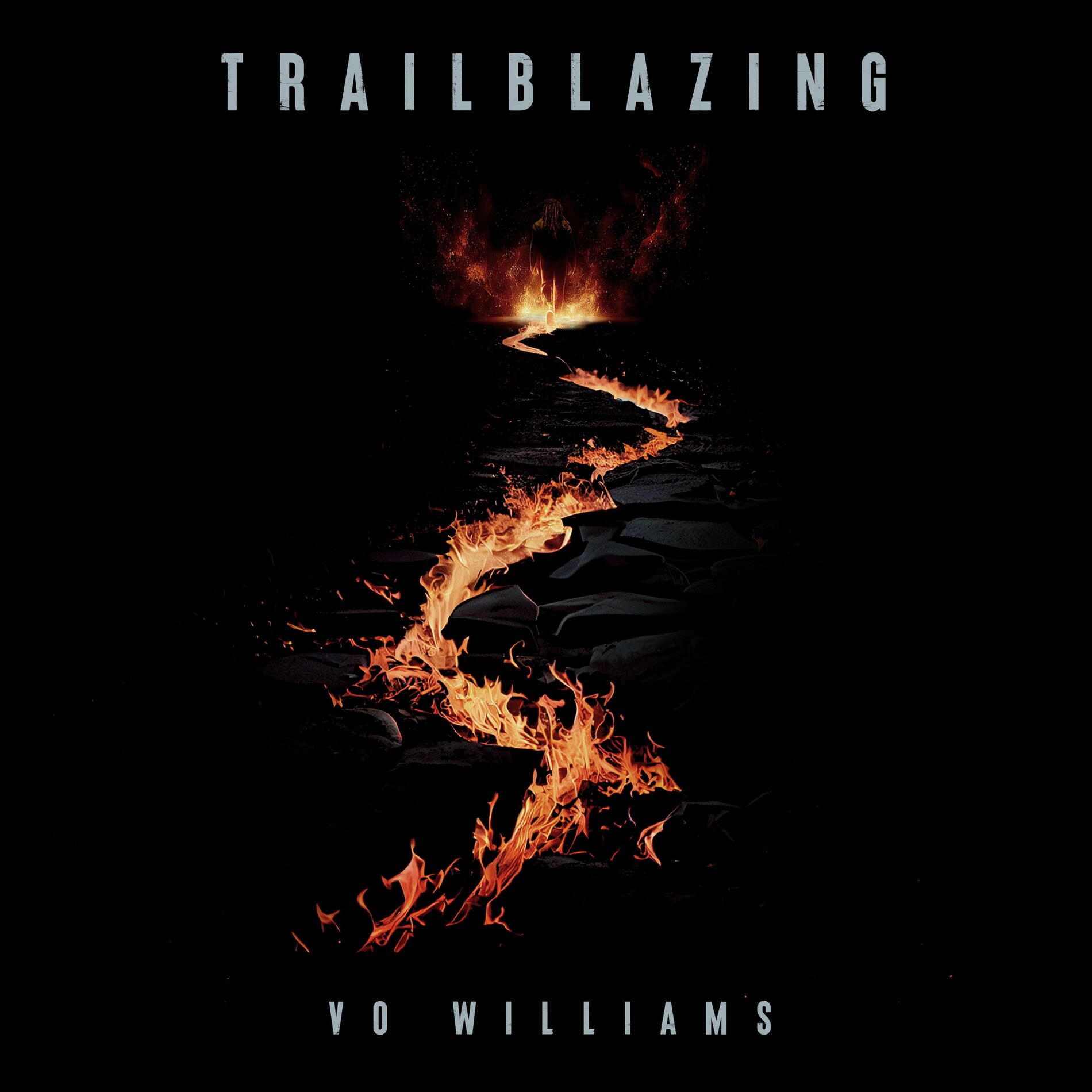 Album cover of TRAILBLAZING