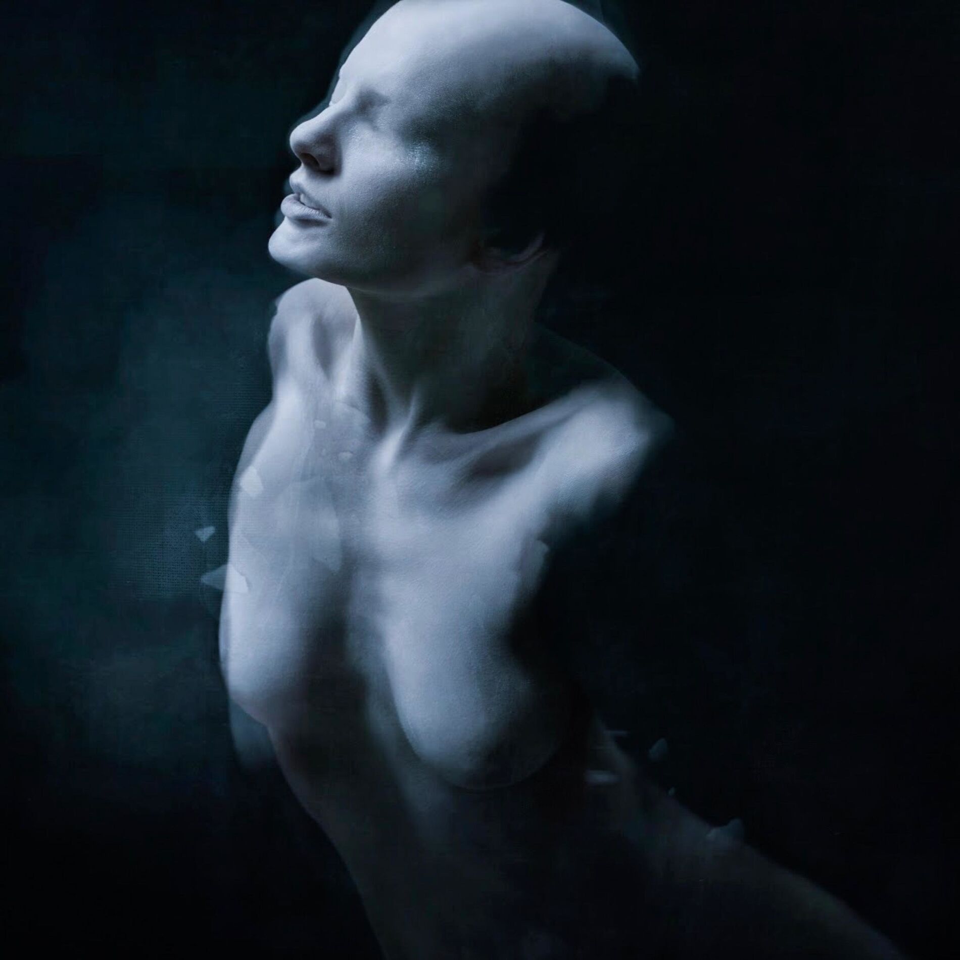 Album cover of Hollowform (Instrumental)