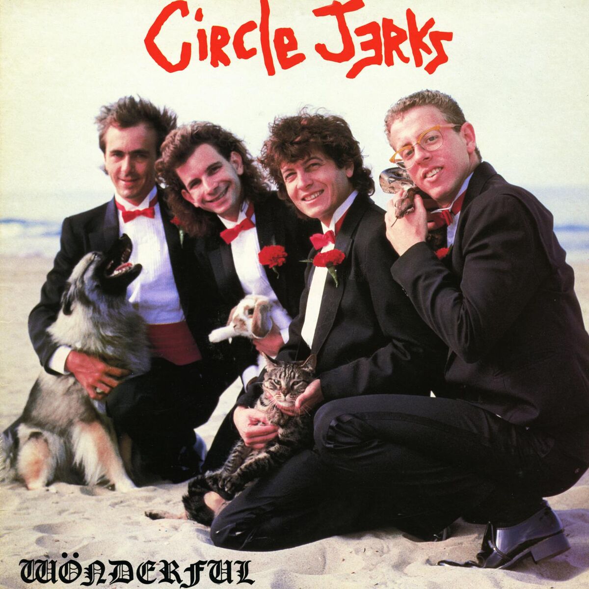 Album cover of Wonderful
