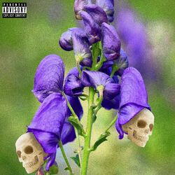 Cover of soon to be.