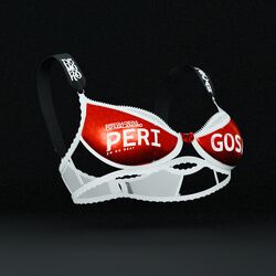 Cover of Perigosa