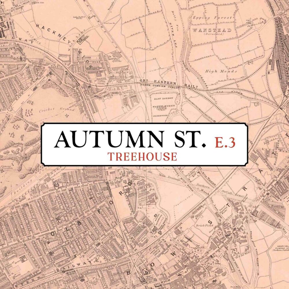 Picture of Autumn Street