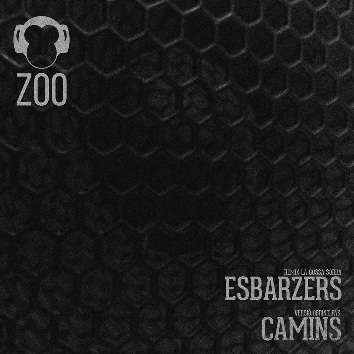 Album cover of Esbarzers & Camins