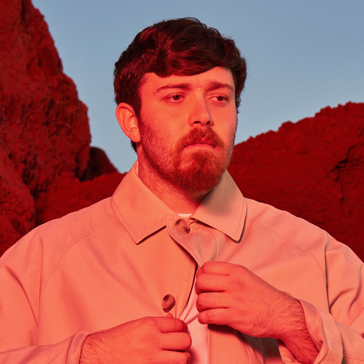 Album cover of Qué Piel Habito Hoy