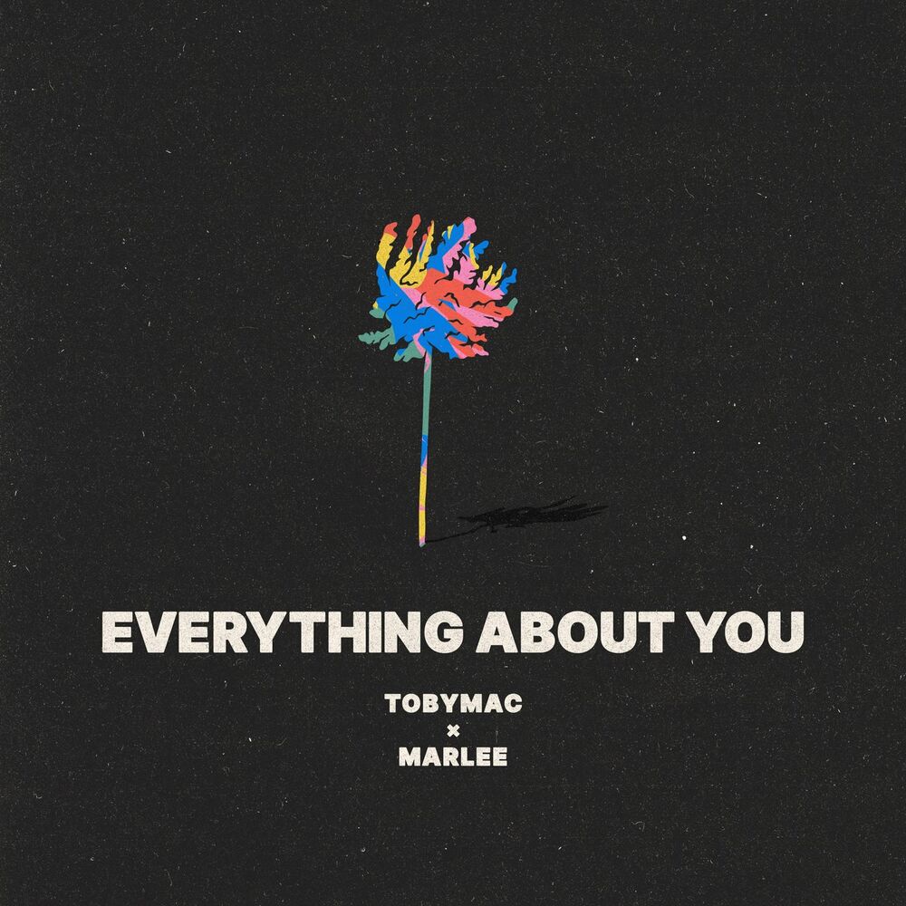 Picture of Everything About You