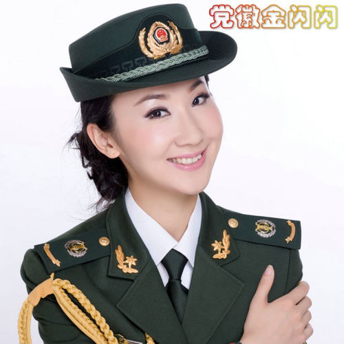 党徽金闪闪