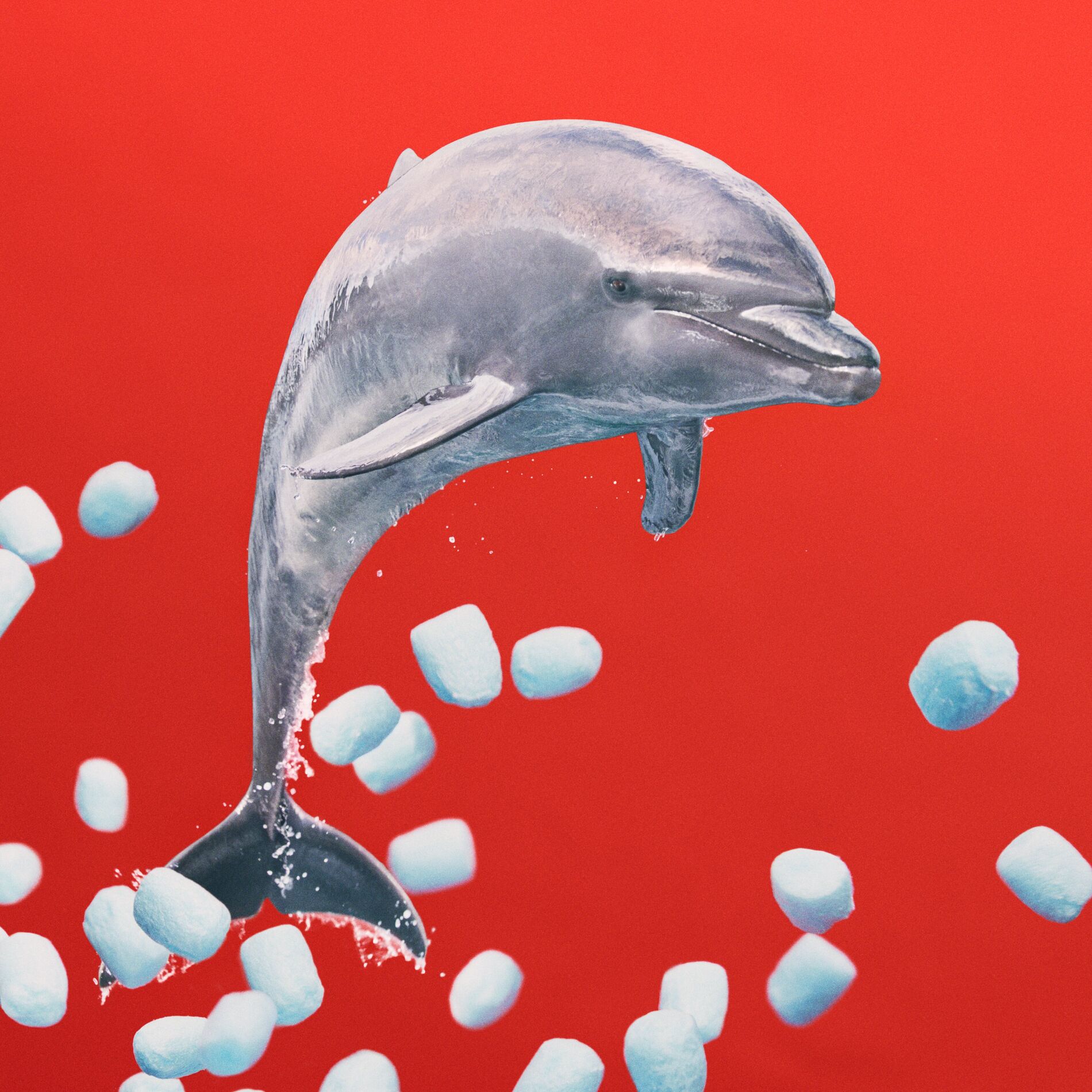 Album cover of rhythm 64