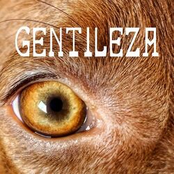 Cover of Gentileza