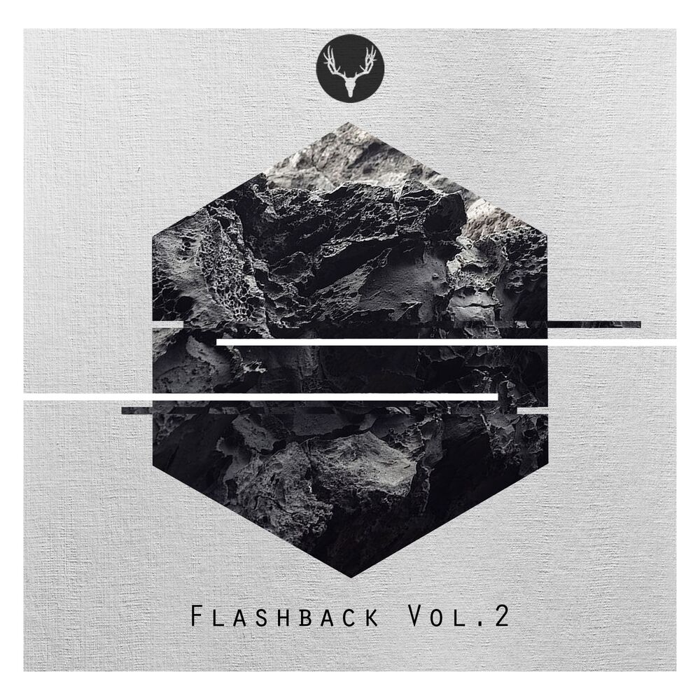 Picture of Flashback Vol. 2
