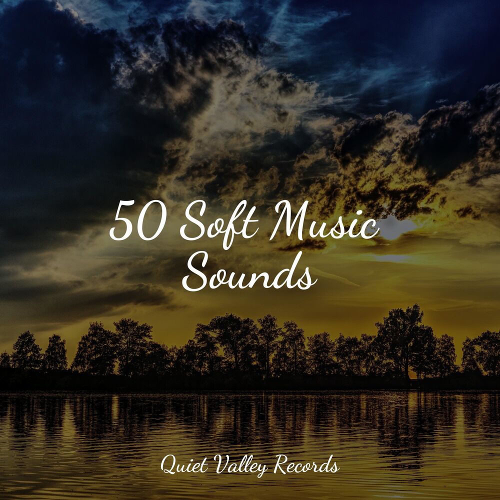 Picture of 50 Soft Music Sounds