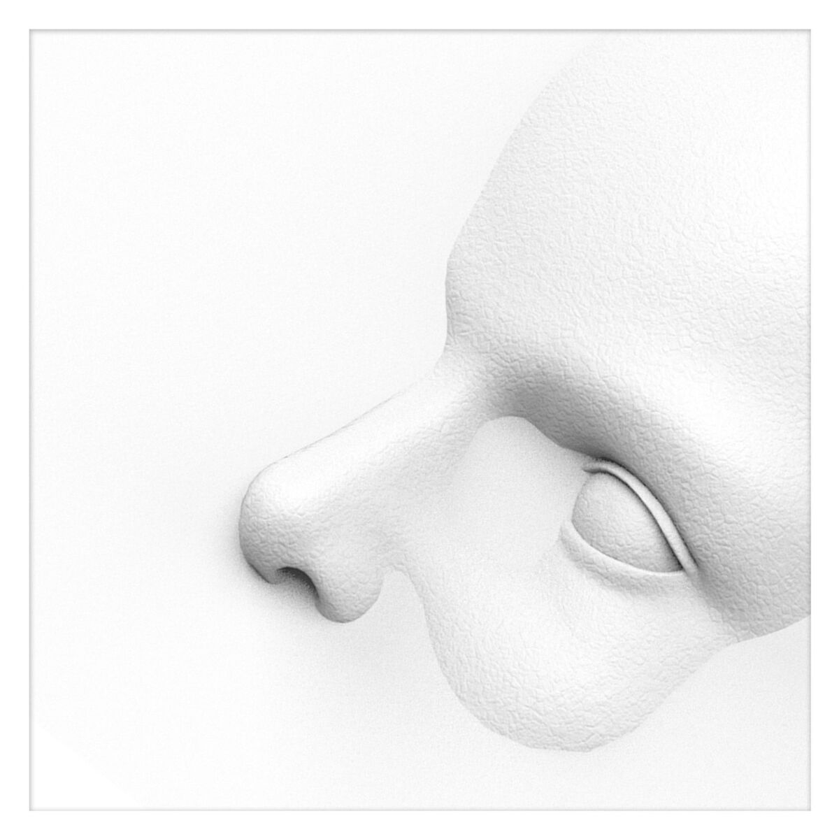 Album cover of Skin