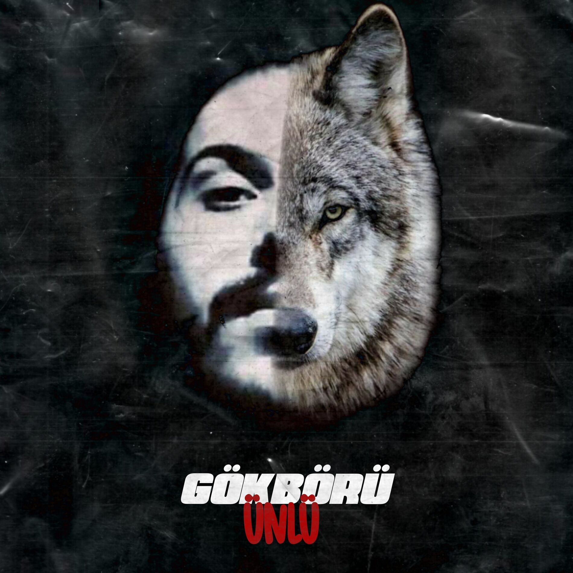 Album cover of Gökbörü