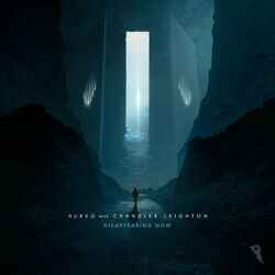 Cover of Disappearing Now