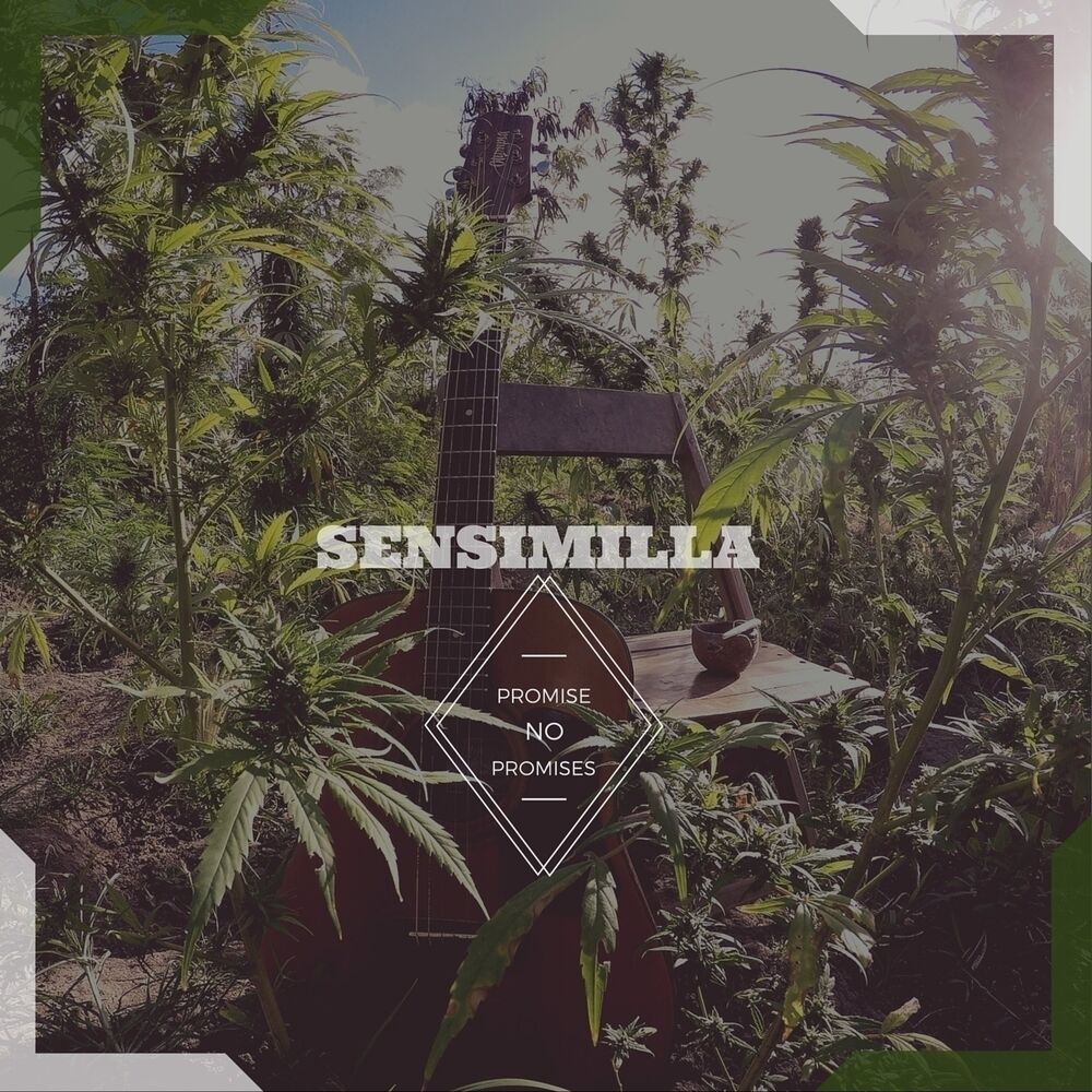 Picture of Sensimilla