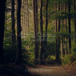 Cover of Restful Chilling Out Collection