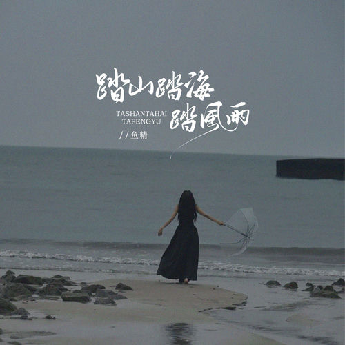 踏山踏海踏风雨