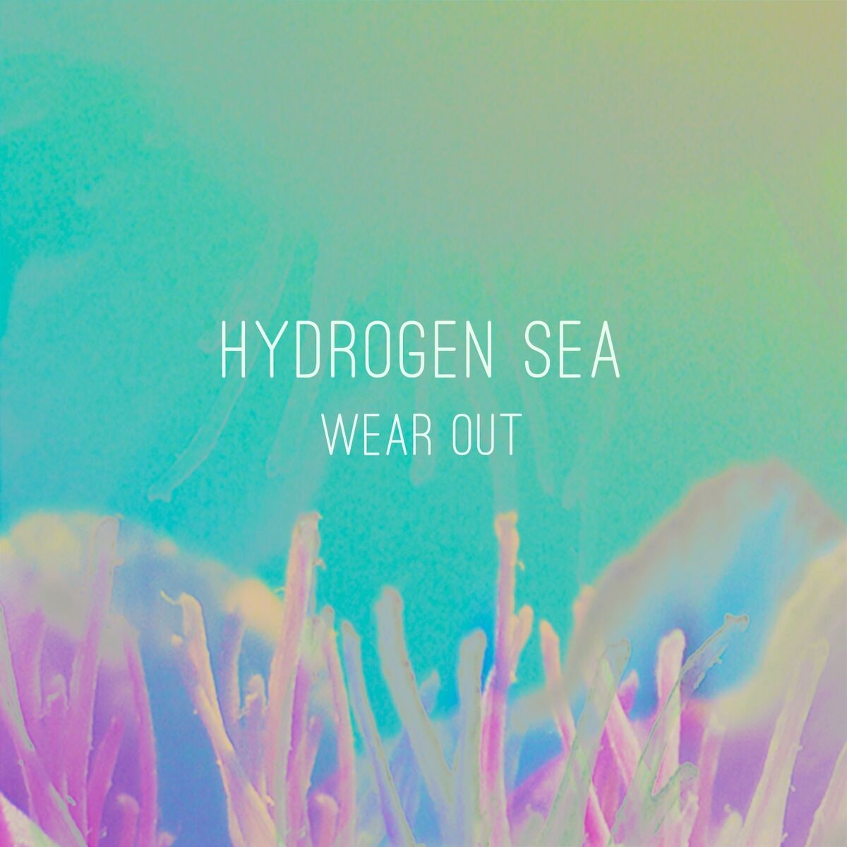 Album cover of Wear Out