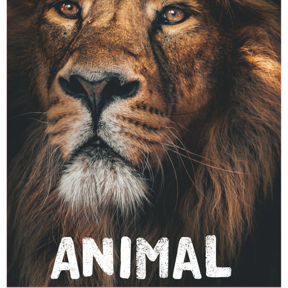 Picture of Animal