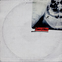 Cover of Bone Music