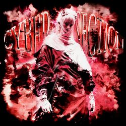 Cover of CYBER SECTION